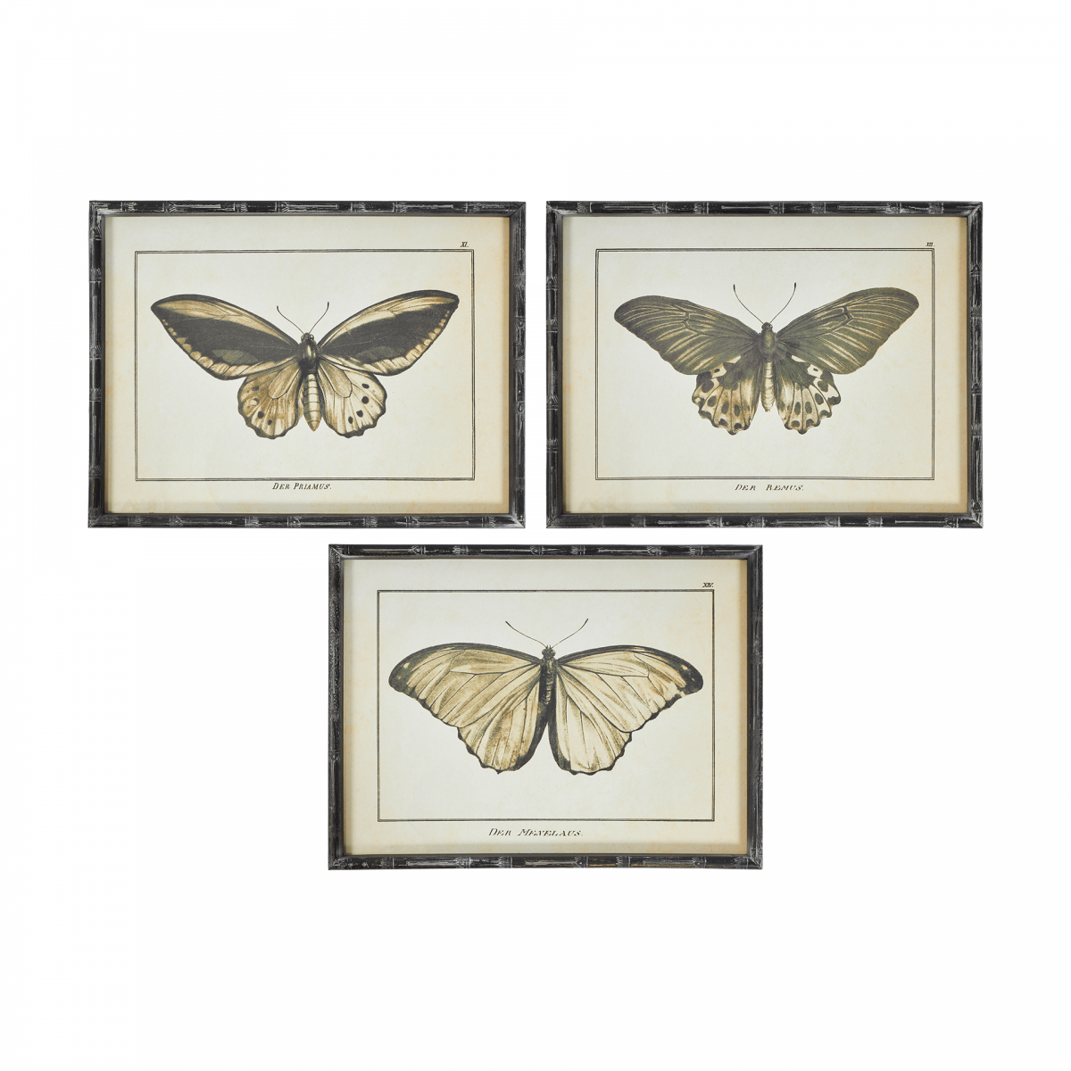Комплект из 3 - х принтов Butterflies