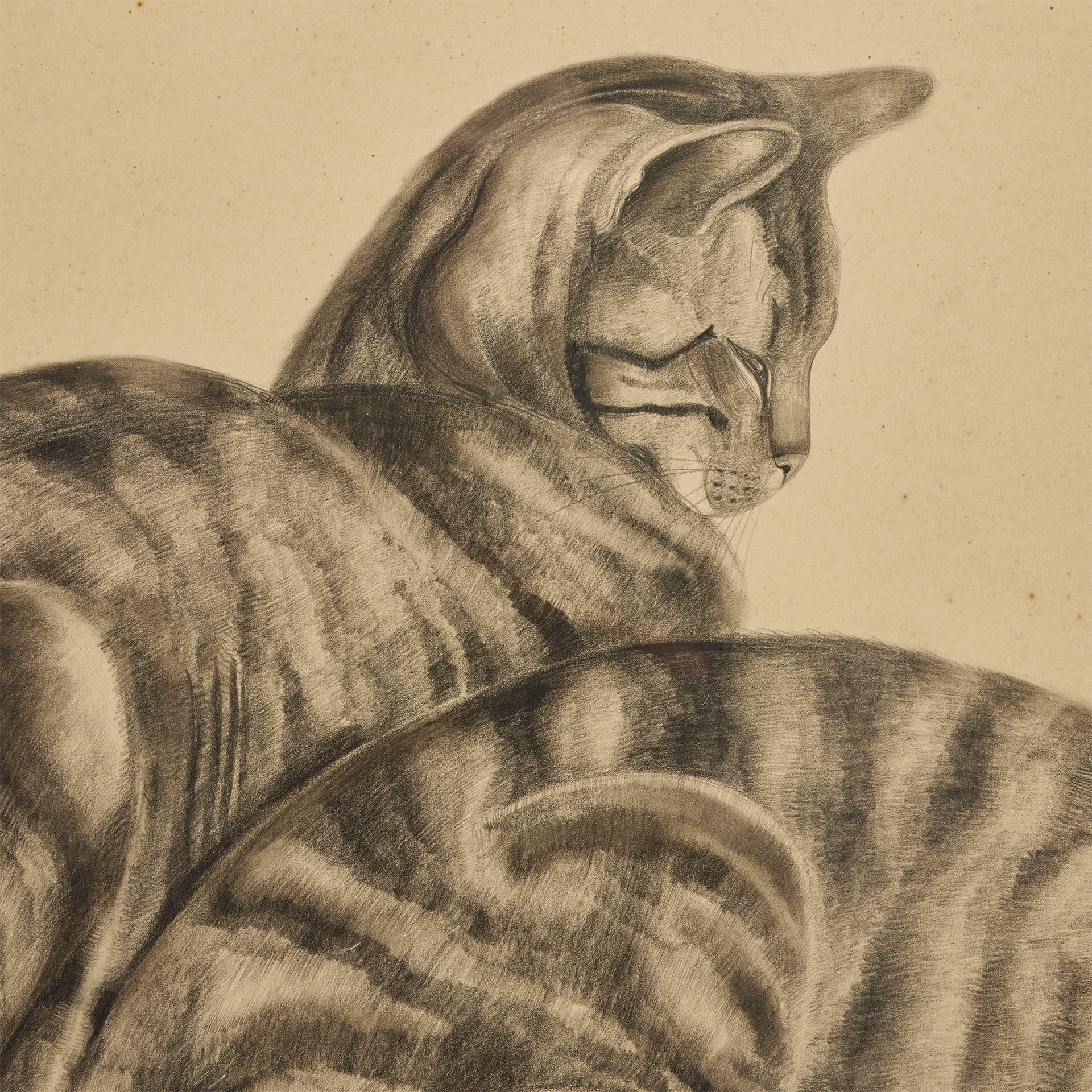 Графика Кошки - фотография 4