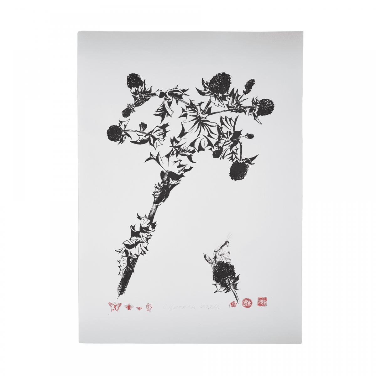 С. Цигаль / Коктебельские колючки № 2